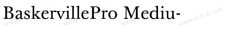 BaskervillePro Mediu字体转换